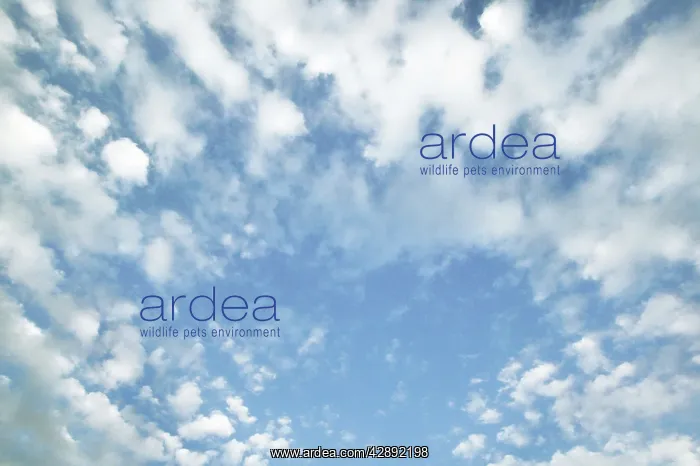  : Sky & clouds