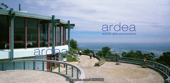 : Sky High Restaurant Mount Dandenong Victoria : Sky High Restaurant Mount Dandenong Victoria