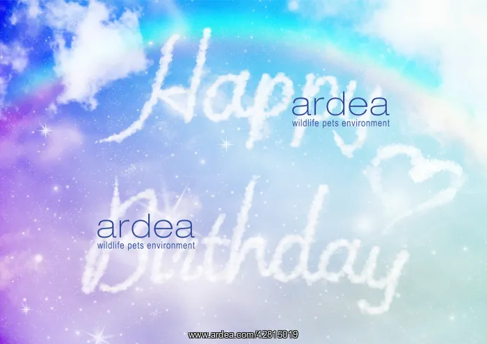 : Sky writing, Happy Birthday, written in the clouds : Sky writing, Happy Birthday, written in the clouds
