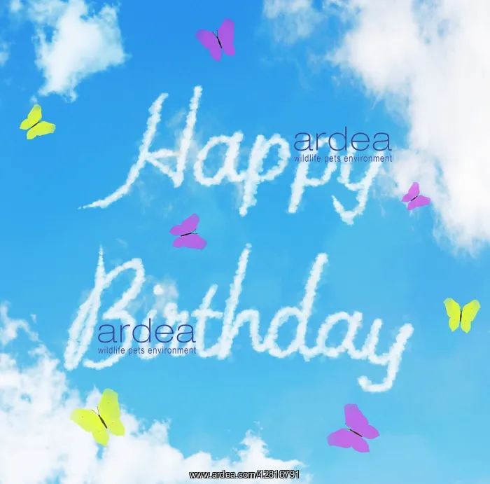 : Sky writing - Happy Birthday - written in the clouds : Sky writing - Happy Birthday - written in the clouds