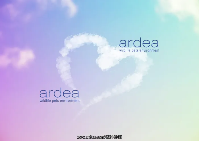 : Sky Writing - heart written in the sky against clouds : Sky Writing - heart written in the sky against clouds