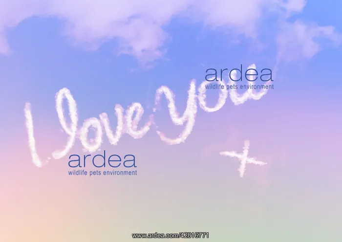: Sky writing - I love you : Sky writing - I love you