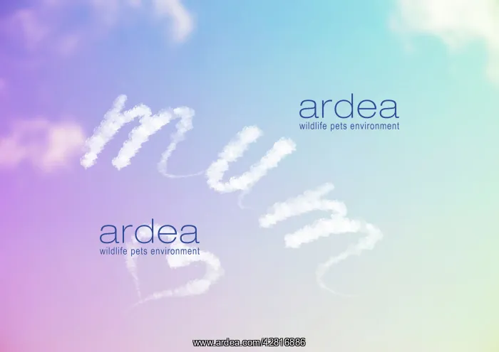 : Sky Writing - mum & a heart written in the sky : Sky Writing - mum & a heart written in the sky