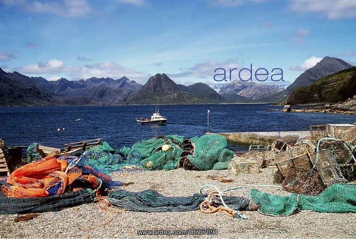 : SKYE - Elgol looking towards Cullins Isle : SKYE - Elgol looking towards Cullins Isle