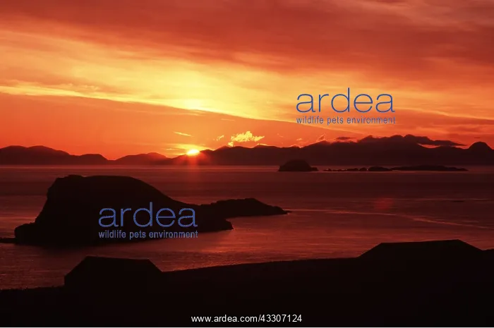 : SKYE - Sunset over Duntulm Castle : SKYE - Sunset over Duntulm Castle