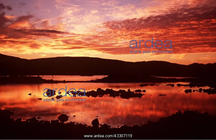 : SKYE - Sunset over Rannock Moor Island : SKYE - Sunset over Rannock Moor Island