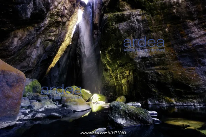 : Skylights in the Chapelle de Cilaos, Reunion : Skylights in the Chapelle de Cilaos, Reunion