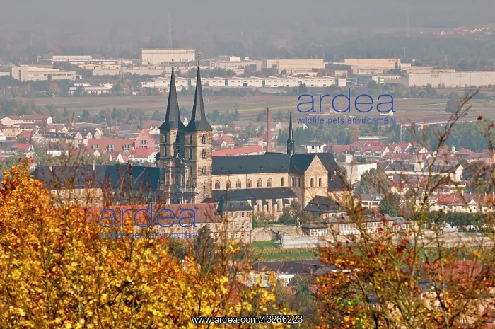 : Skyline of Bamberg, Germany : Skyline of Bamberg, Germany