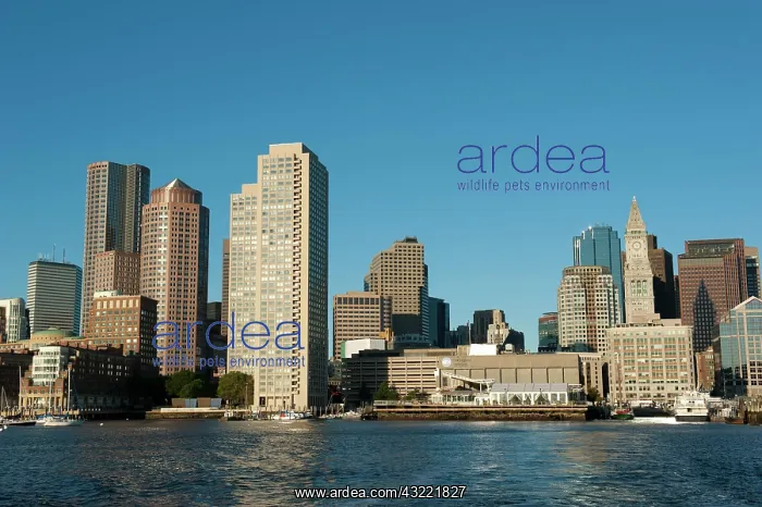 : Skyline with Custom House Tower, Financial District : Skyline with Custom House Tower, Financial District
