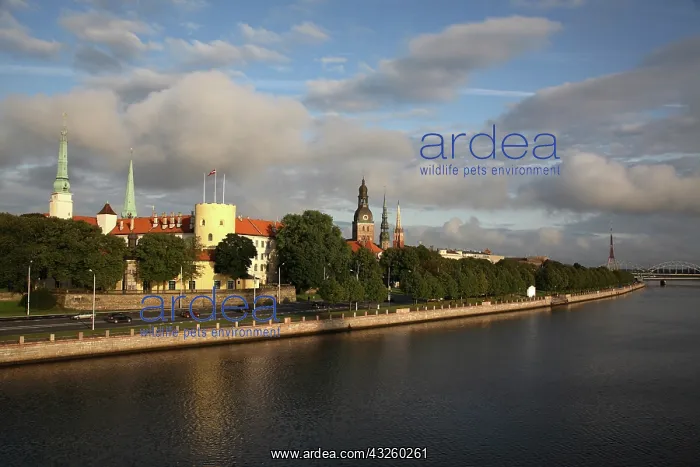: The skyline of Historic Center of Riga with : The skyline of Historic Center of Riga with