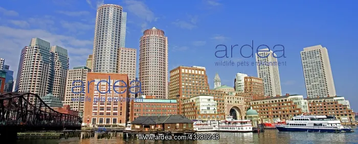 : Skyline, Rowes Wharf, waterfront, Boston, Massachusetts : Skyline, Rowes Wharf, waterfront, Boston, Massachusetts