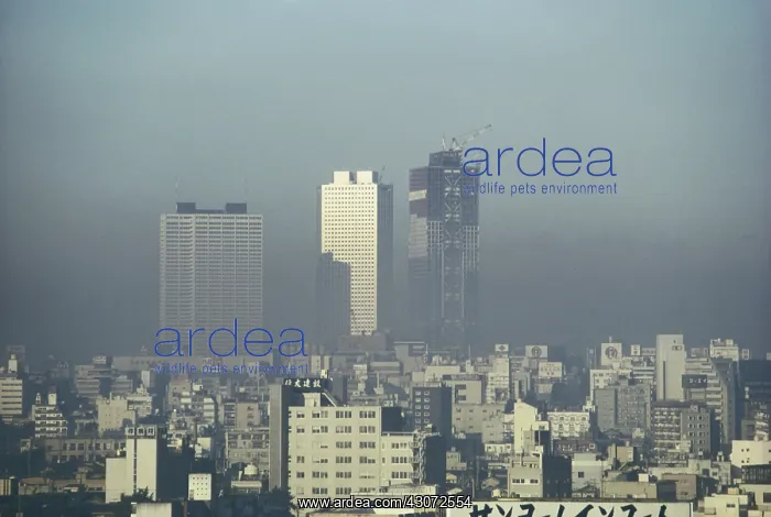  : Skyscrapers of Shinjuku
