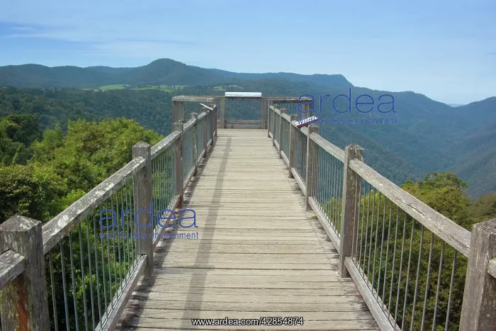 : Skywalk over rainforest - this boardwalk is built : Skywalk over rainforest - this boardwalk is built