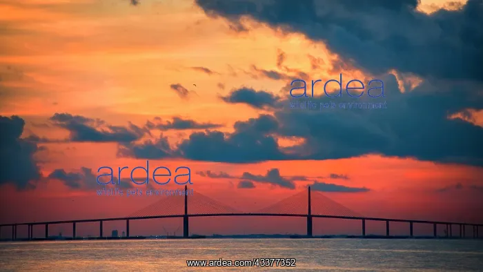 : The Skyway Bridge over the Gulf of Mexico with the : The Skyway Bridge over the Gulf of Mexico with the