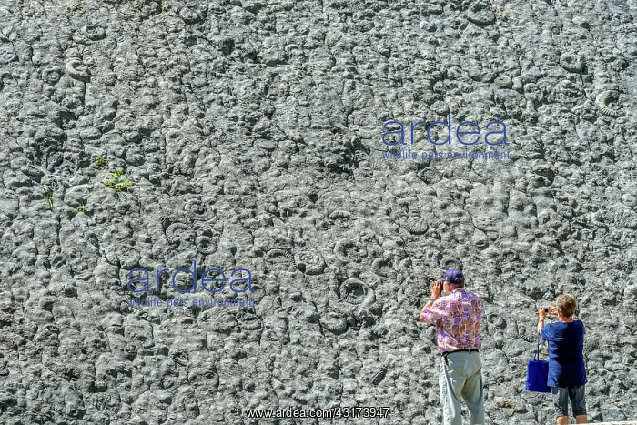 : The slab near the Ammonites Digne - Geological Reserve : The slab near the Ammonites Digne - Geological Reserve