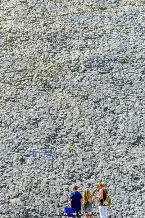 : The slab near the Ammonites Digne - Geological Reserve : The slab near the Ammonites Digne - Geological Reserve