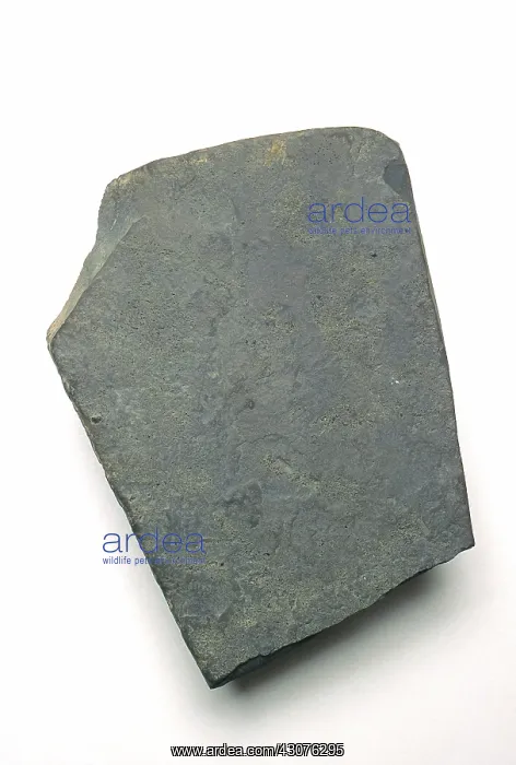 : Slate, a metamorphic rock : Slate, a metamorphic rock