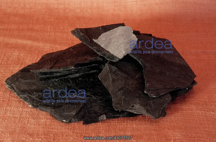 : Slate, a metamorphic rock, made up of very fine sediments of clay, feldspar and quartz : Slate, a metamorphic rock, made up of very fine sediments of clay, feldspar and quartz