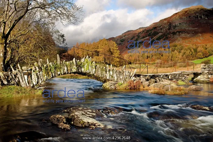  : Slaters Bridge in Little Langdale - November