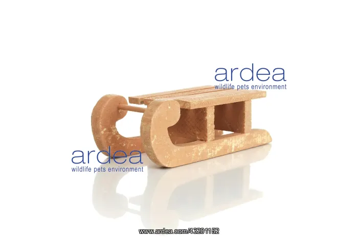 : Sledge Schlitten : Sledge Schlitten