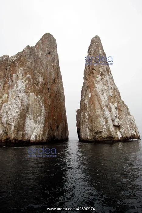 : Sleeping Lion near San Cristobal Island : Sleeping Lion near San Cristobal Island