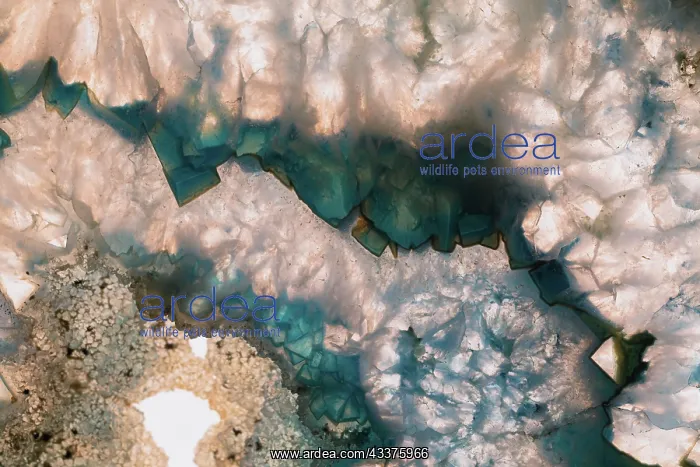 : Sliced rock crystals of a geode : Sliced rock crystals of a geode