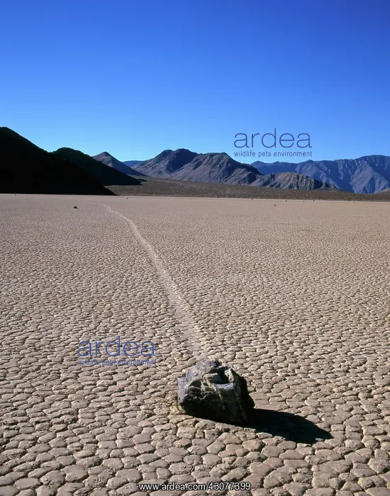 : Sliding Rock at Racetrack Playa : Sliding Rock at Racetrack Playa