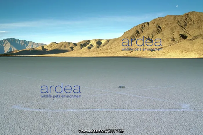 : Sliding Rock at Racetrack Playa : Sliding Rock at Racetrack Playa