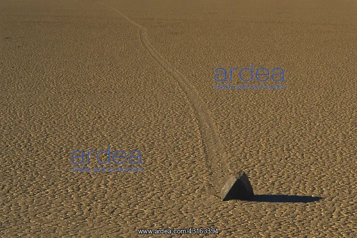 : Sliding Rock on Racetrack Playa : Sliding Rock on Racetrack Playa