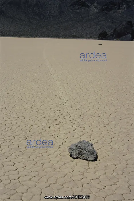 : Sliding Rock on Racetrack Playa : Sliding Rock on Racetrack Playa