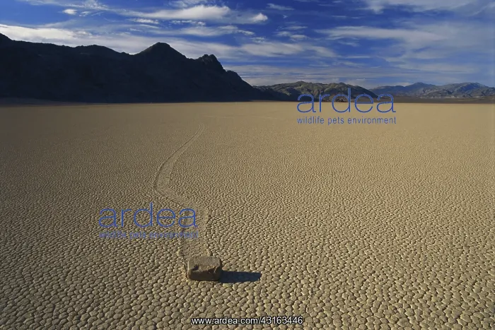 : Sliding Rock on Racetrack Playa : Sliding Rock on Racetrack Playa