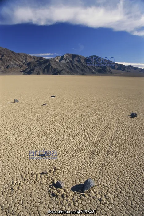 : Sliding Rocks on Racetrack Playa : Sliding Rocks on Racetrack Playa