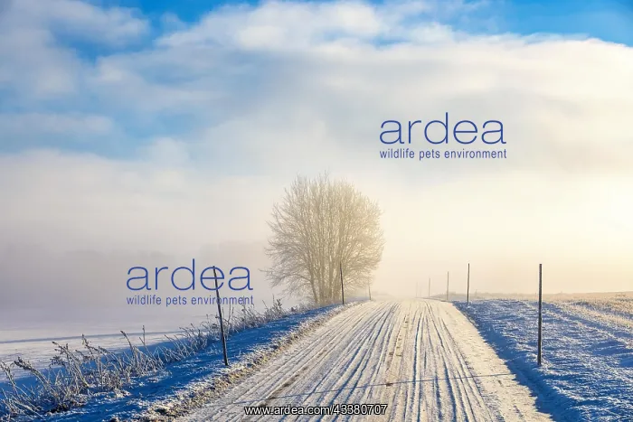 : Slippery winter country road with with snow and : Slippery winter country road with with snow and