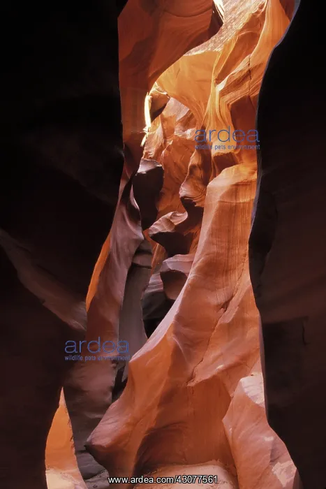 : Slot Canyon : Slot Canyon