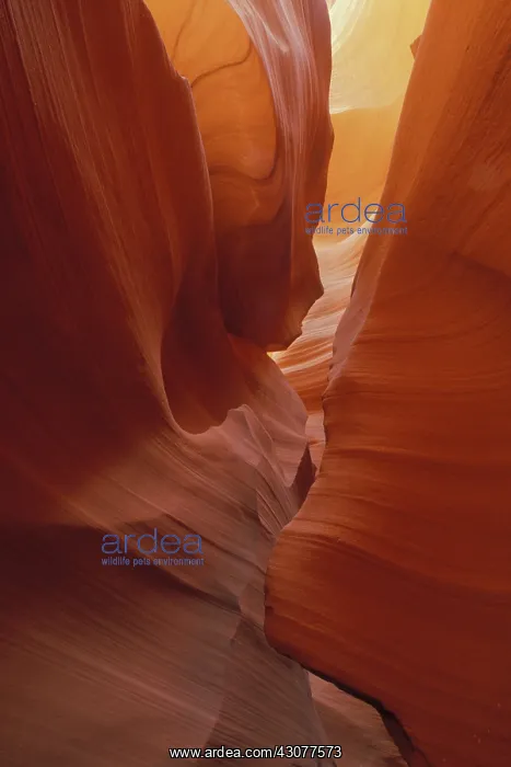 : Slot Canyon : Slot Canyon