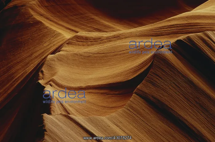 : Slot Canyon, Arizona : Slot Canyon, Arizona