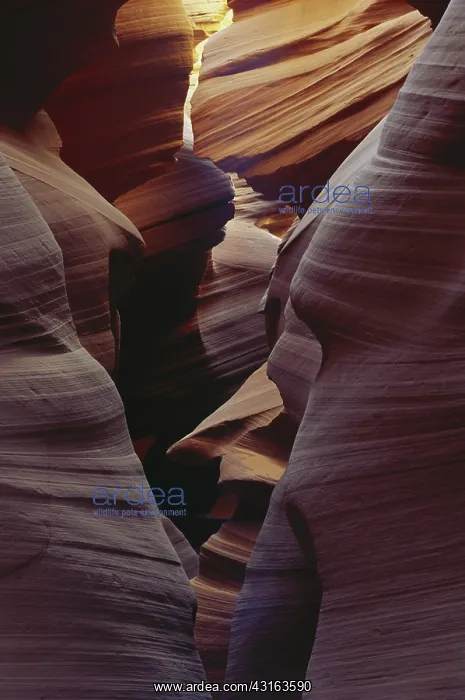 : Slot Canyon, Arizona : Slot Canyon, Arizona