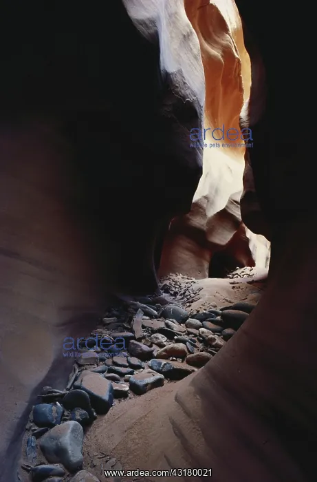 : Slot Canyon, Arizona : Slot Canyon, Arizona