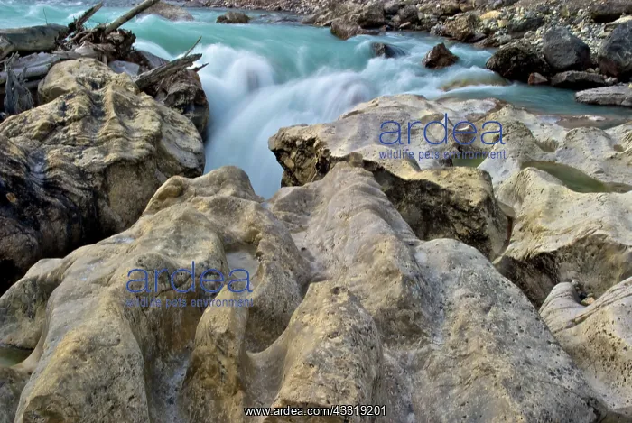 : Slot Canyon, North Saskatchewan River : Slot Canyon, North Saskatchewan River