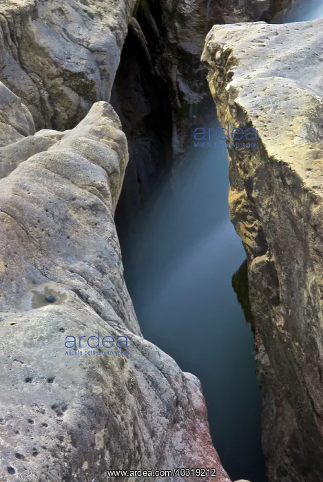 : Slot Canyon, North Saskatchewan River : Slot Canyon, North Saskatchewan River