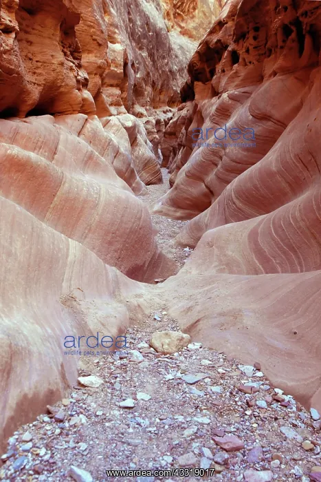: Slot Canyon, San Rafael Swell : Slot Canyon, San Rafael Swell