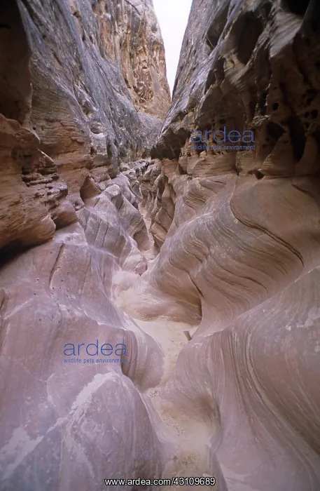 : Slot Canyon in San Rafael Swell, UT : Slot Canyon in San Rafael Swell, UT