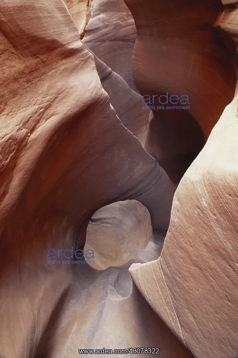 : Slot Canyon, Utah : Slot Canyon, Utah