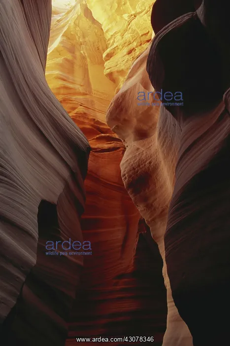 : Slot Canyon, Utah : Slot Canyon, Utah