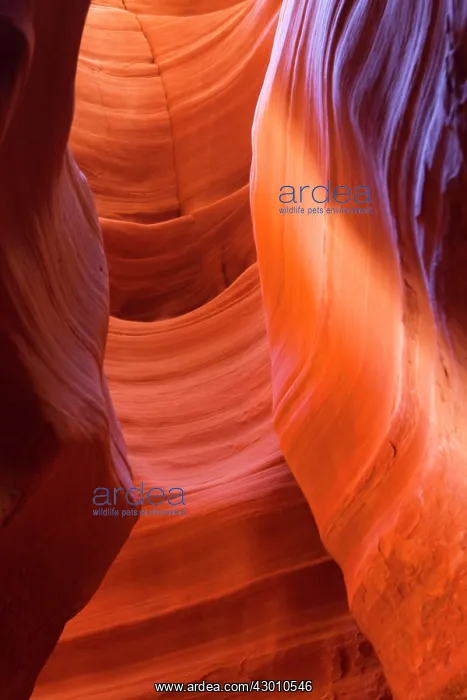 : Slot Secret Canyon : Slot Secret Canyon