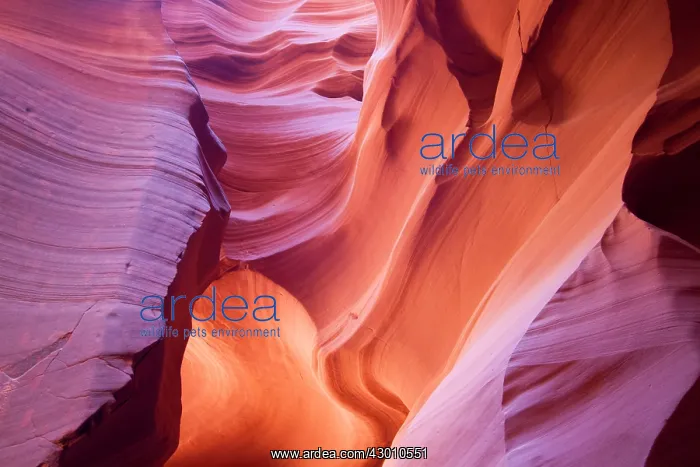 : Slot Secret Canyon : Slot Secret Canyon