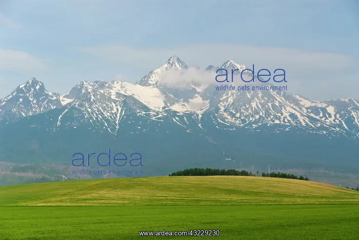 : Slovak Republic. High Tatra Mountains : Slovak Republic. High Tatra Mountains