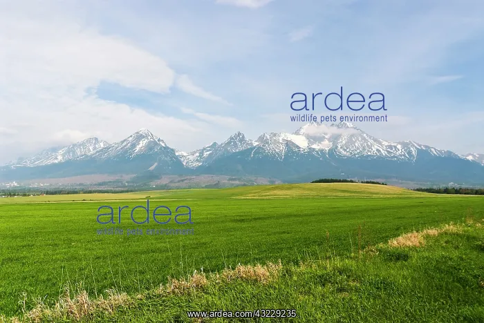 : Slovak Republic. High Tatra Mountains : Slovak Republic. High Tatra Mountains