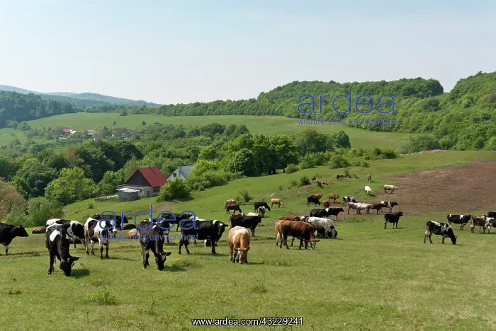 : Slovak Republic. Near the village of Dominova : Slovak Republic. Near the village of Dominova