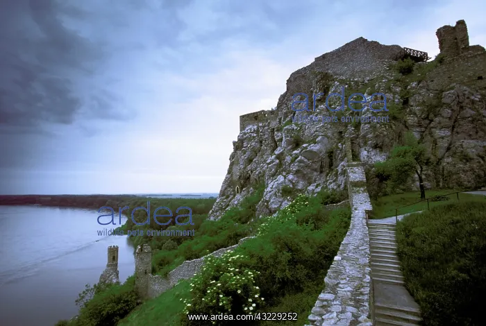 : Slovakia, Bratislava area, Devin. Devin : Slovakia, Bratislava area, Devin. Devin